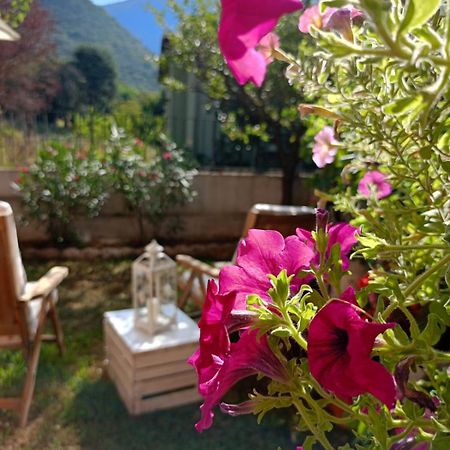 La Civetta Appartamento Con Giardino E Parcheggio Nave  Екстериор снимка