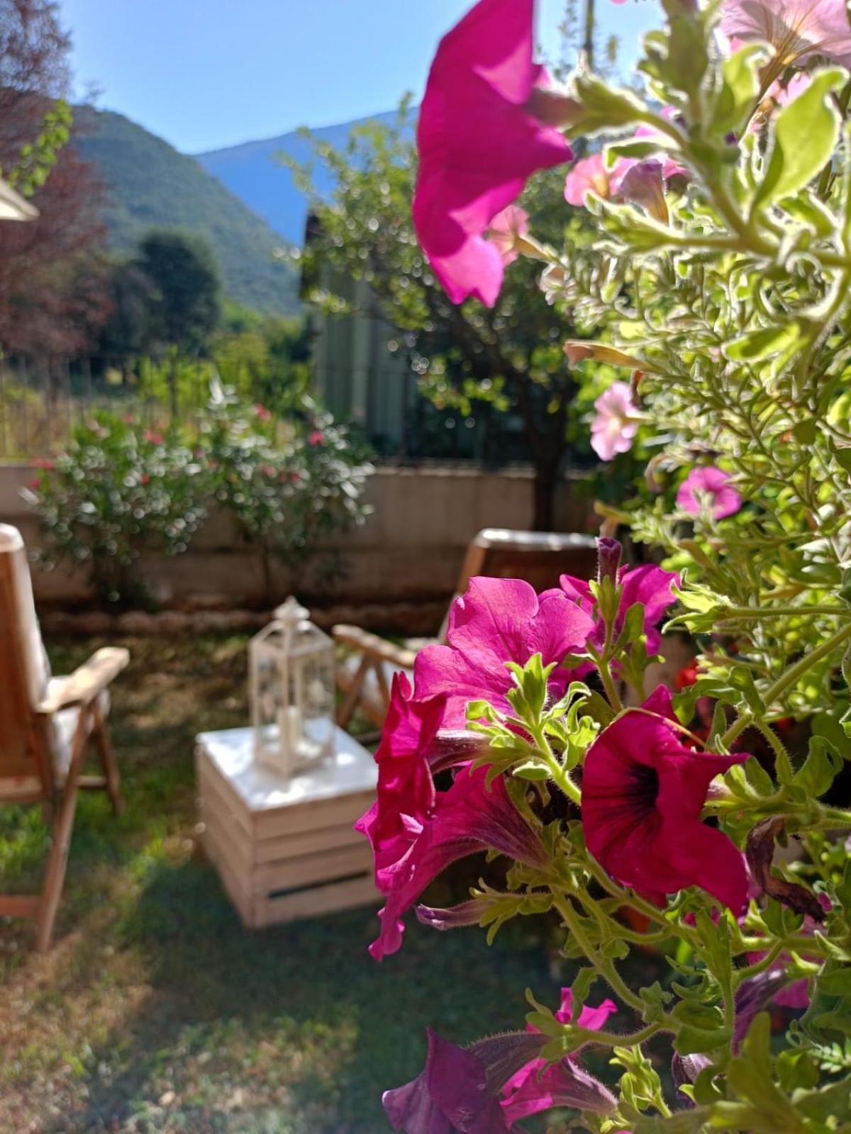 La Civetta Appartamento Con Giardino E Parcheggio Nave  Екстериор снимка
